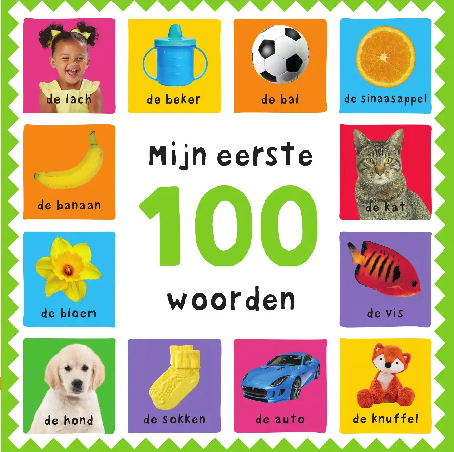 Mijn eerste 100 woorden
